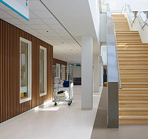 Forbo Sphera Essence 50526 clay фото 2 | FLOORDEALER